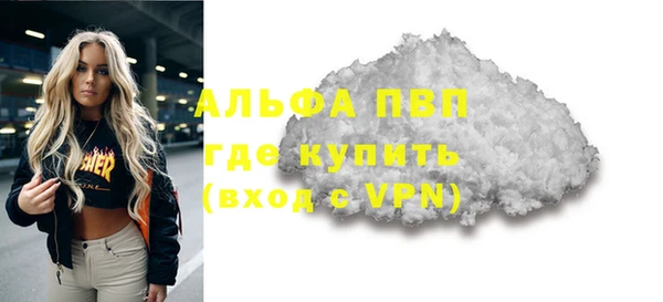 шишки Магас