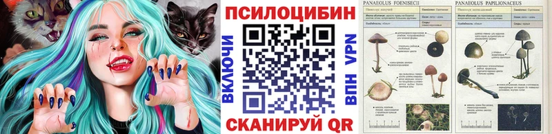 Галлюциногенные грибы Magic Shrooms  Купить  Ессентуки 